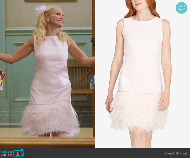 Tahari ASL Feather Trim Dress worn by Lavinia Peck-Foster (Kristin Chenoweth) on Trial and Error