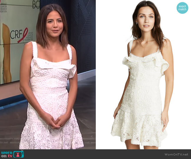 Alexis Linzi Dress worn by Erin Lim on E! News