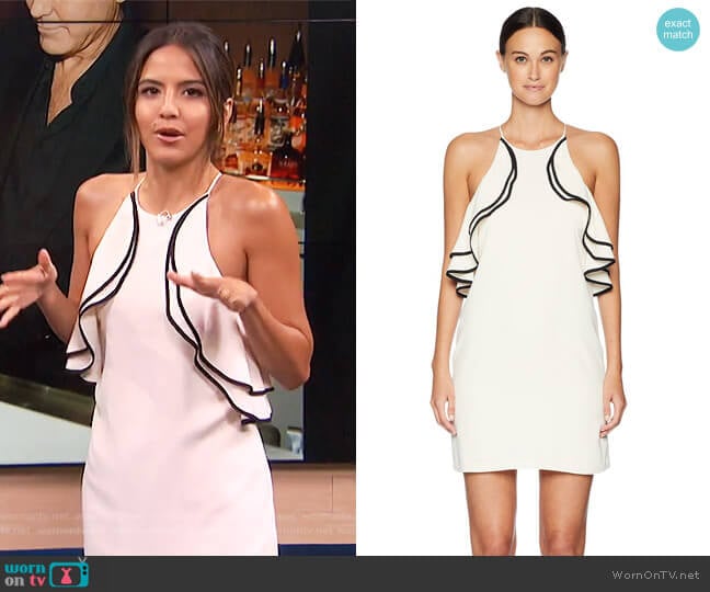 Halston Heritage Sleeveless High Halter Neck Ruffle Detail Dress worn by Erin Lim on E! News