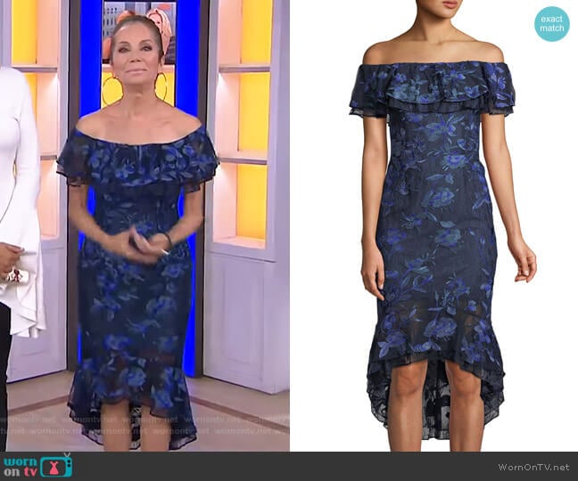 Aidan Mattox Floral-Embroidered Fitted Cocktail Dress worn by Kathie Lee Gifford on Today