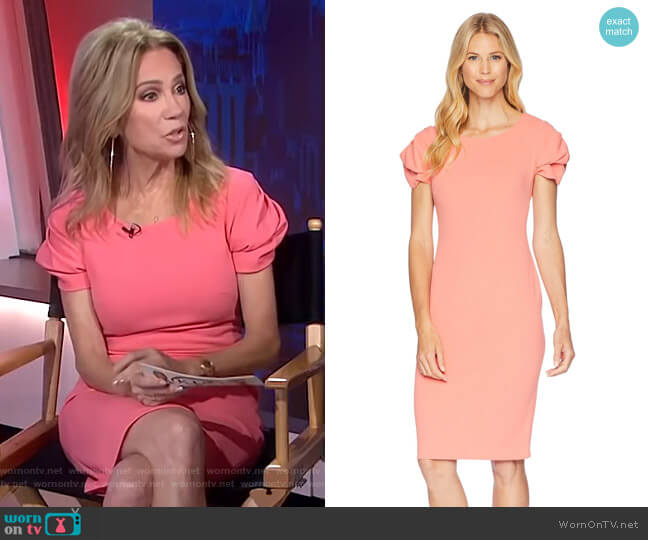 Calvin Klein Tulip Sleeve Sheath Dress worn by Kathie Lee Gifford on Today