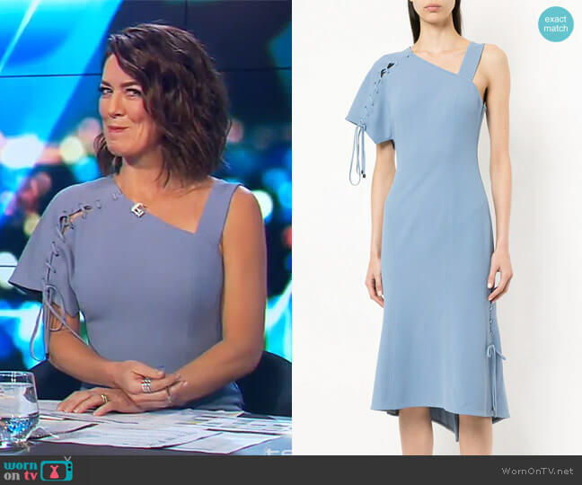 Ginger & Smart Sequel one-shoulder dress worn by Gorgi Coghlan on The Project