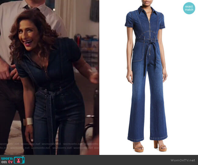 AO.LA by Alice + Olivia Gorgeous Jumpsuit worn by Emet Kamala-Sweetzer (Sarayu Blue) on I Feel Bad