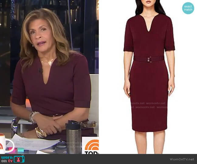 Ted Baker Jesabil Dress worn by Hoda Kotb on Today