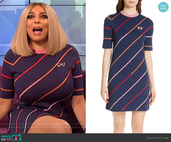 Numbers Pelinor Stripe Dress by Ted Baker Colour worn by Wendy Williams on The Wendy Williams Show