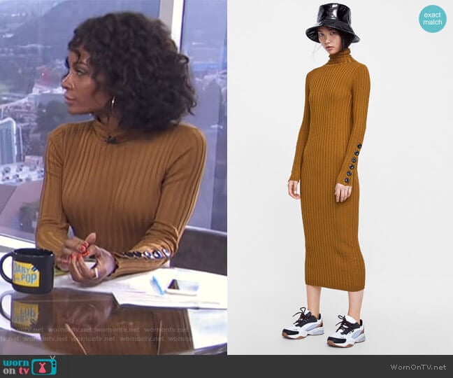 Zara Knit Dress with Buttons worn by Zuri Hall on E! News