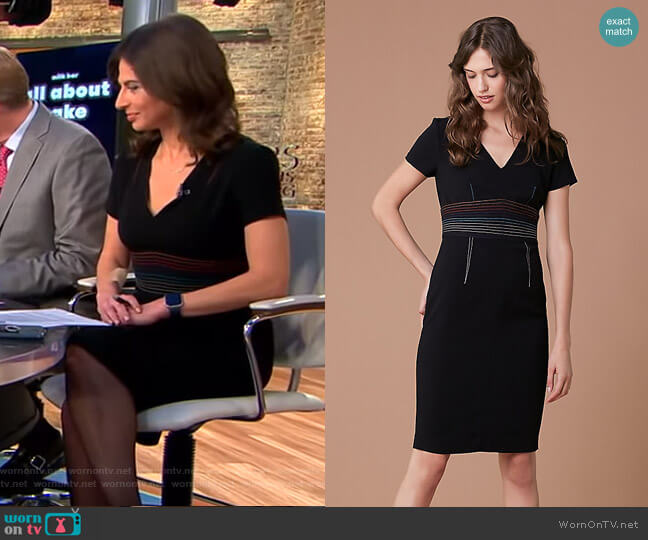 Diane von Furstenberg Short Sleeve V-Neck Tailored Dress worn by Bianna Golodryga on CBS Mornings