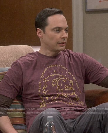 Sheldon’s Gryffindor t-shirt on The Big Bang Theory