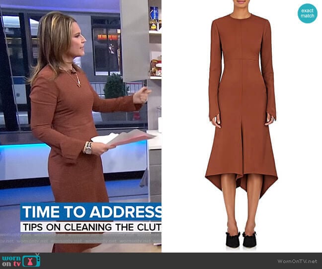 Sies Marjan Dani Twill Dress worn by Savannah Guthrie on Today