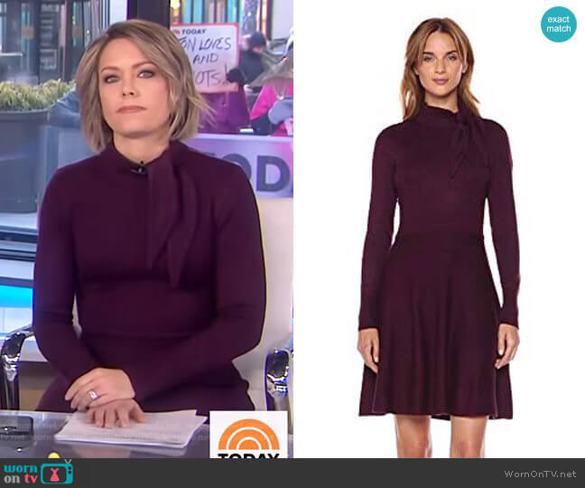 Eliza J Tie Neck Sweater Dress worn by Dylan Dreyer on Today