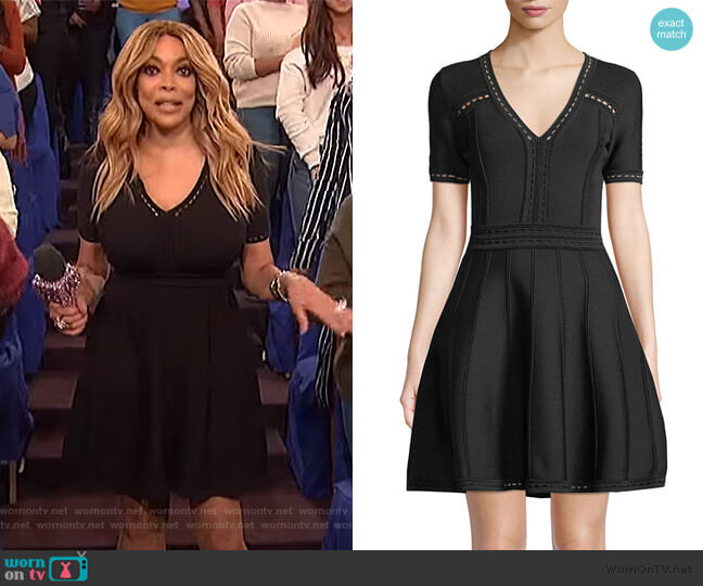 Milly Pointelle Flare Dress worn by Wendy Williams on The Wendy Williams Show