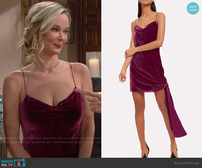 Cinq a Sept Ryder Velvet Dress worn by Donna Logan (Jennifer Gareis) on The Bold and the Beautiful