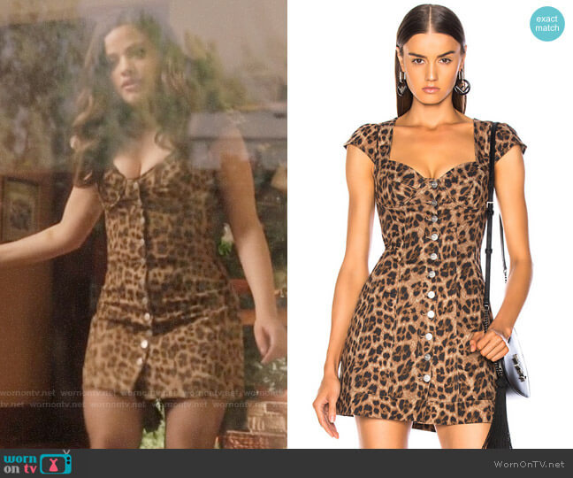 Miaou Gigi Leopard Dress worn by Maggie Vera (Sarah Jeffery) on Charmed