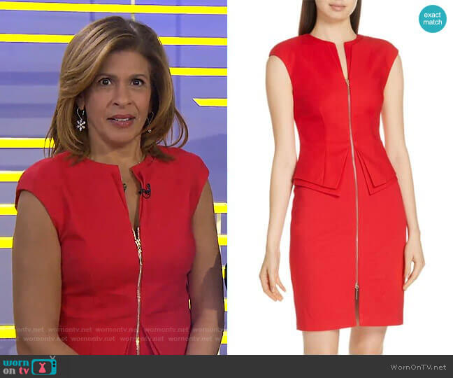 Ted Baker Kwyli Dress worn by Hoda Kotb on Today