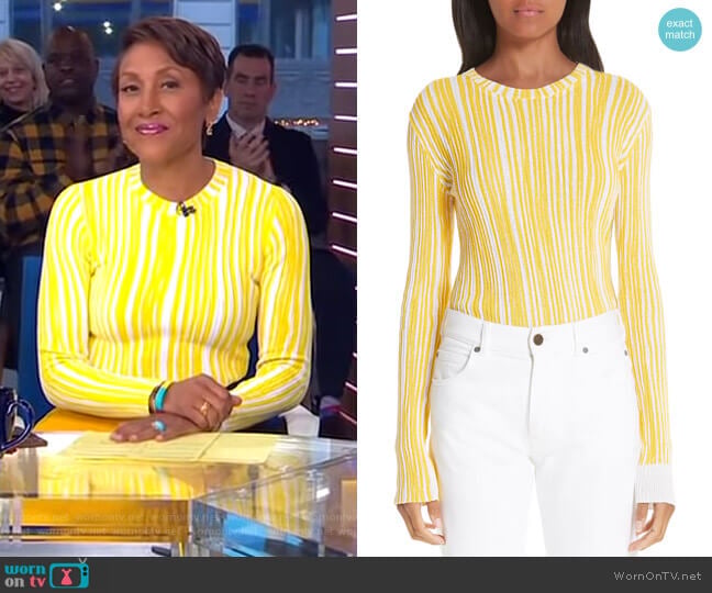 Calvin Klein 205W39NYC Stripe Rib Knit Sweater worn by Robin Roberts on Good Morning America