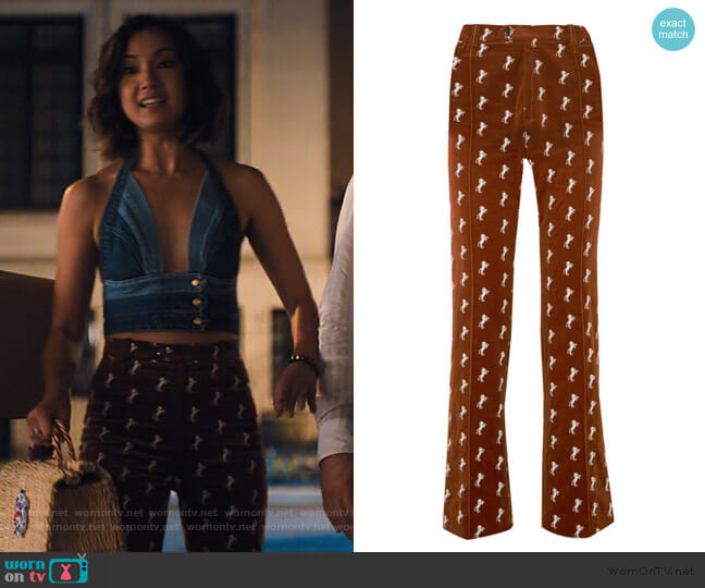 Chloe Embroidered Cotton-Blend Velvet Straight Leg Pants worn by Marianne (Jae Suh Park) on Friends from College