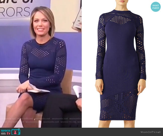 Milly Lasercut Sheath Dress worn by Dylan Dreyer on Today