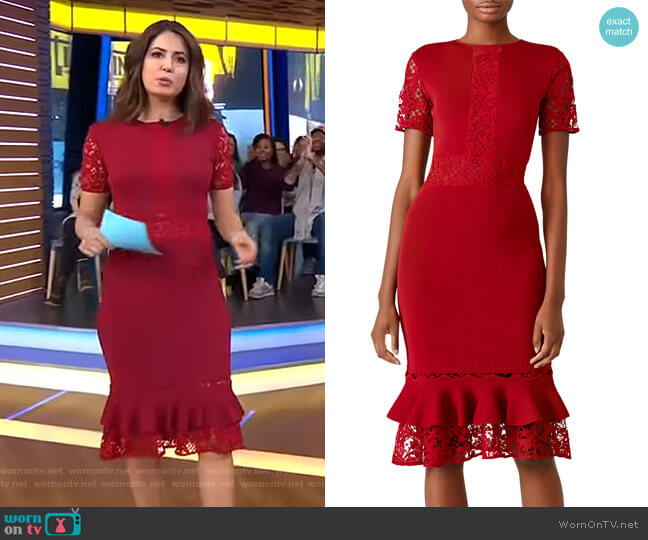 Sachin & Babi Lace Ruffle Hem Dress worn by Cecilia Vega on Good Morning America