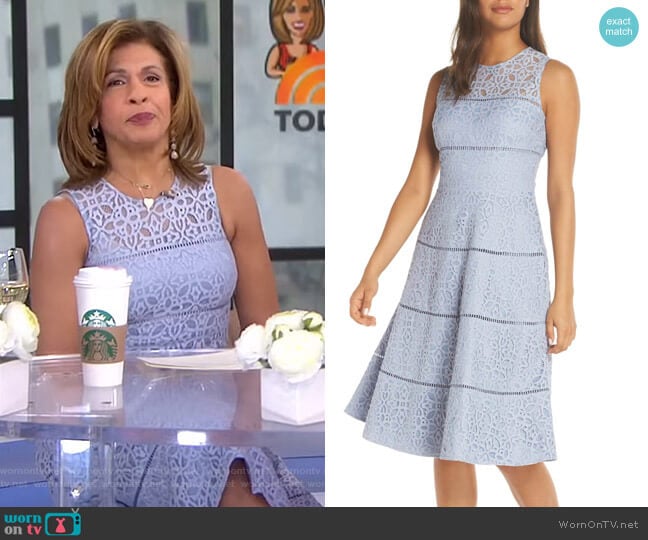 Eliza J Lace Fit & Flare Dress worn by Hoda Kotb on Today