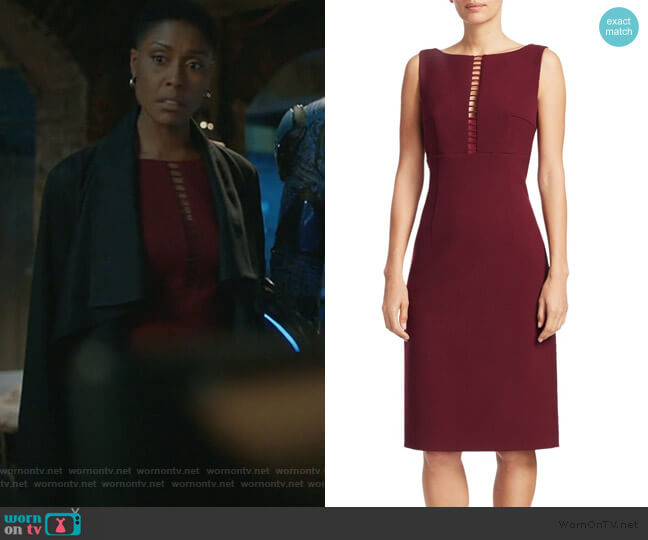 Elie Tahari Doreen Ladder Front Sheath Dress worn by Lynn Stewart (Christine Adams) on Black Lightning