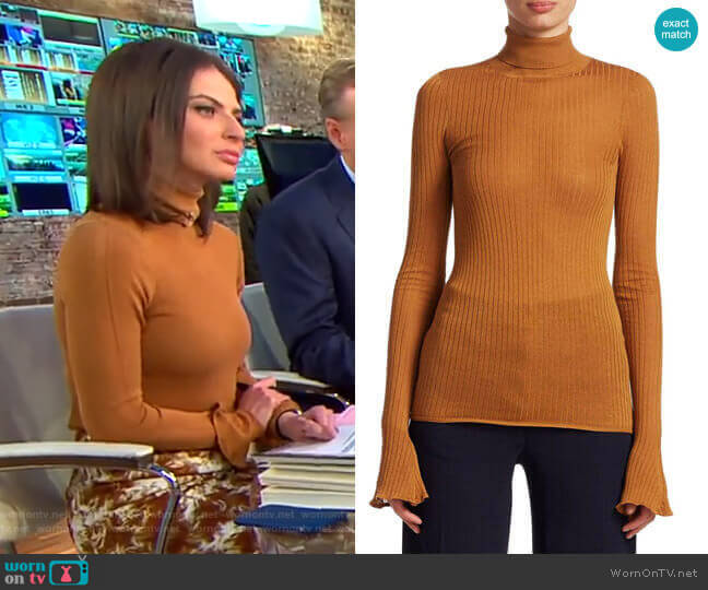 Victoria Beckham Rib Knit Turtleneck worn by Bianna Golodryga on CBS Mornings