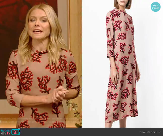 Marni Branch Print Dress worn by Kelly Ripa on Live with Kelly and Mark