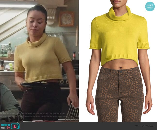 T by Alexander Wang Cropped Turtleneck Short-Sleeve Sweater worn by Mariana Foster (Cierra Ramirez) on Good Trouble