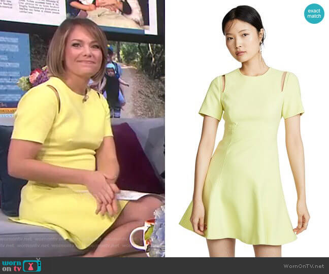 Cinq a Sept Alyssa Dress worn by Dylan Dreyer on Today