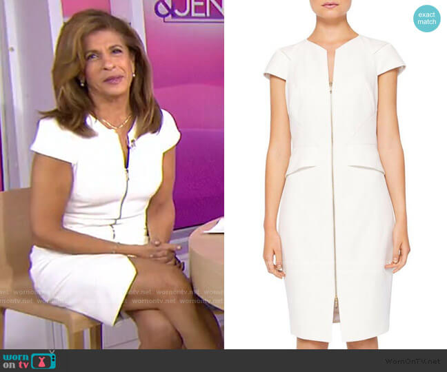 Ted Baker Fearnid Zip Front Pencil Dress worn by Hoda Kotb on Today