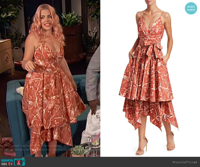 Johanna Ortiz Cacatua Dress worn by Busy Philipps on Busy Tonight