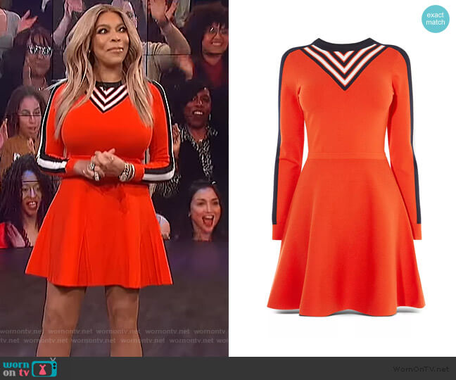 Karen Millen Stripe Detail Fit-and-Flare Dress worn by Wendy Williams on The Wendy Williams Show