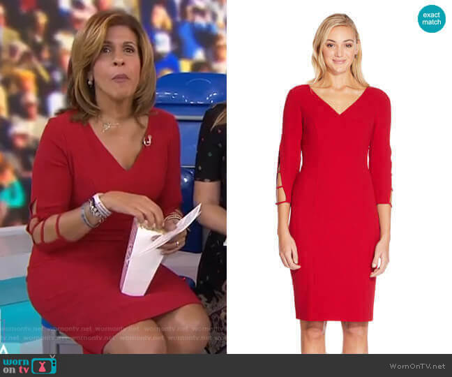 Adrianna Papell Three Quarter Sleeve Sheath Dress with Cutout Accents worn by Hoda Kotb on Today