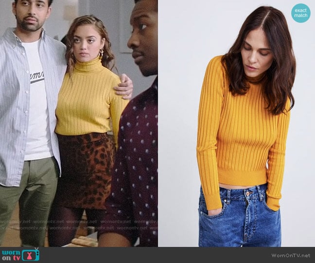 Zara Ribbed Knit Turtleneck Sweater worn by Jaya (Shazi Raja) on God Friended Me