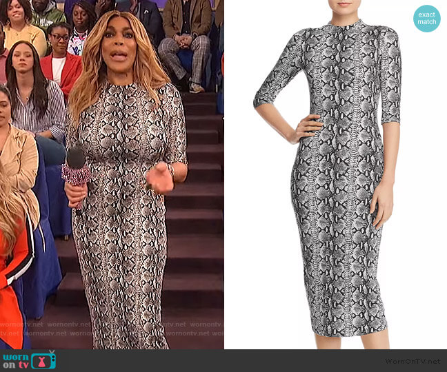 Alice + Olivia Delora Snake Print Midi Dress worn by Wendy Williams on The Wendy Williams Show