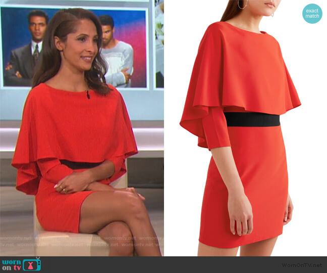 Alice + Olivia Cairo Dress