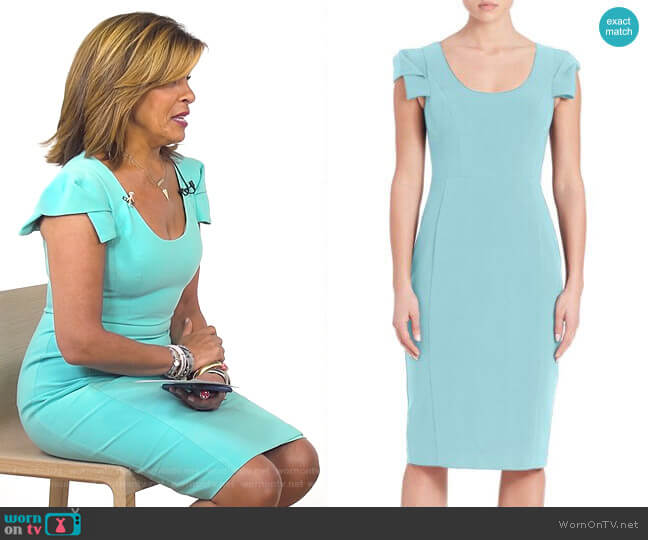 Black Halo Amelie Sheath Dress worn by Hoda Kotb on Today