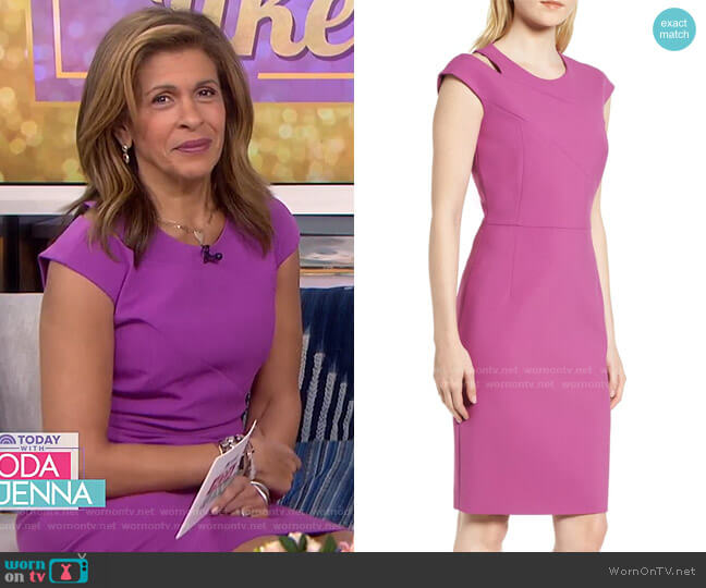 Boss Danouk Sheath Dress worn by Hoda Kotb on Today