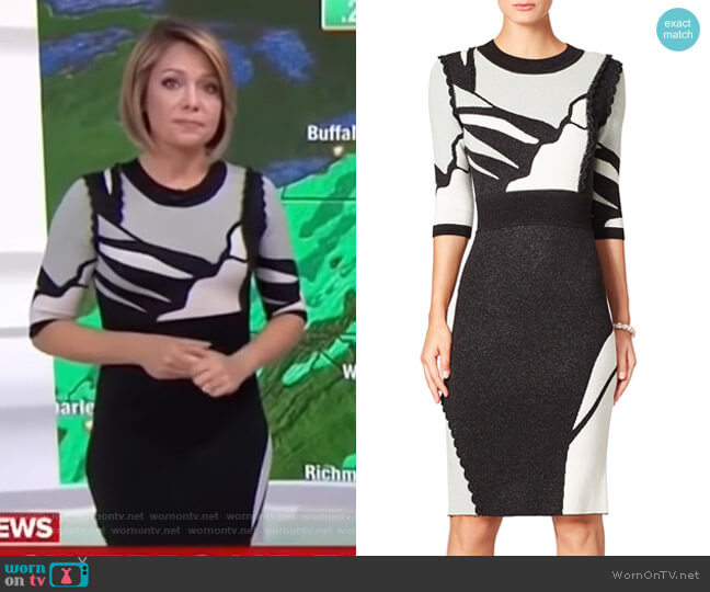 Raoul Contrast Intarsia Dress worn by Dylan Dreyer on Today