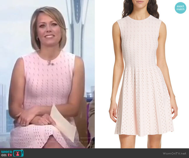 Ted Baker Vellia Dress worn by Dylan Dreyer on Today