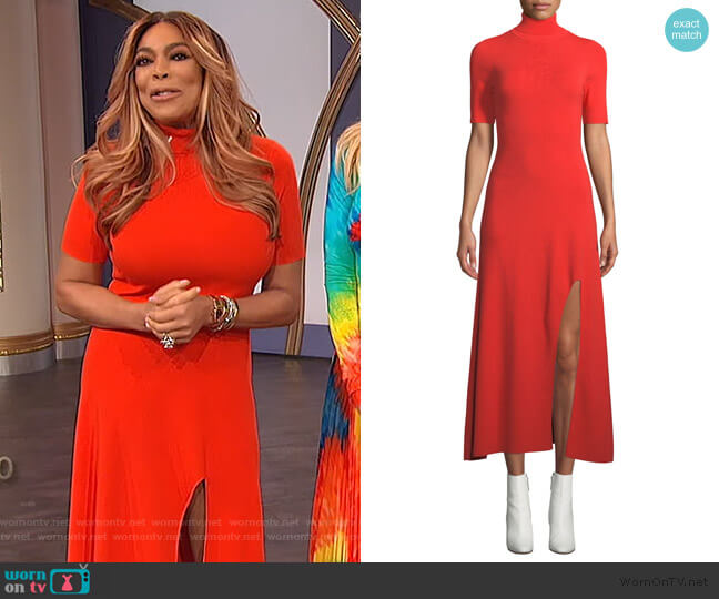 A.L.C. Caplan Dress worn by Wendy Williams on The Wendy Williams Show