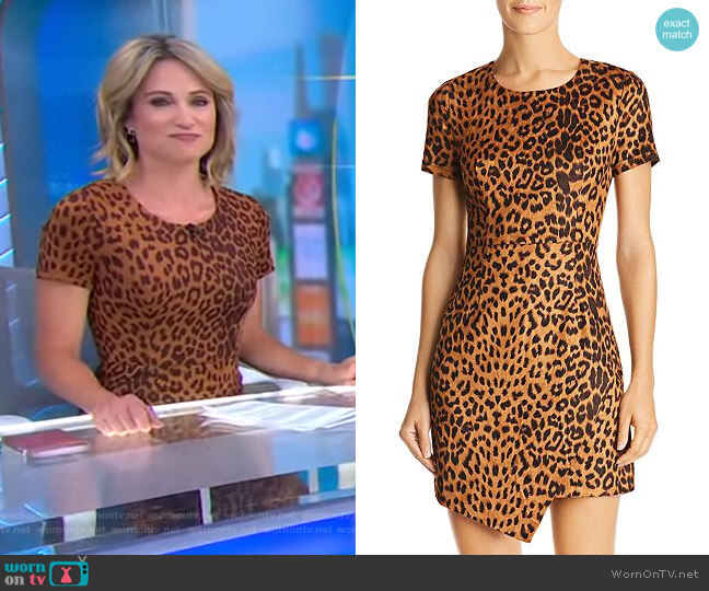 Aqua Leopard Print Faux Suede Dress worn by Amy Robach on Good Morning America