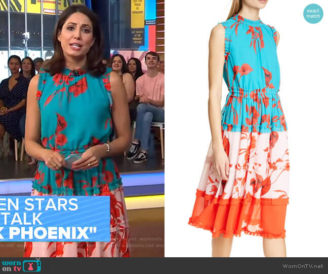 Ted baker Camelis Dress worn by Cecilia Vega on Good Morning America