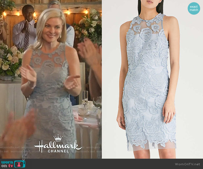 Reiss Meghan-floral Lace Dress worn by Stephanie Borden (Kylee Evans) on Good Witch