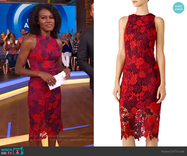 Alexia Admor Floral Lace Sheath Dress worn by Janai Norman on Good Morning America