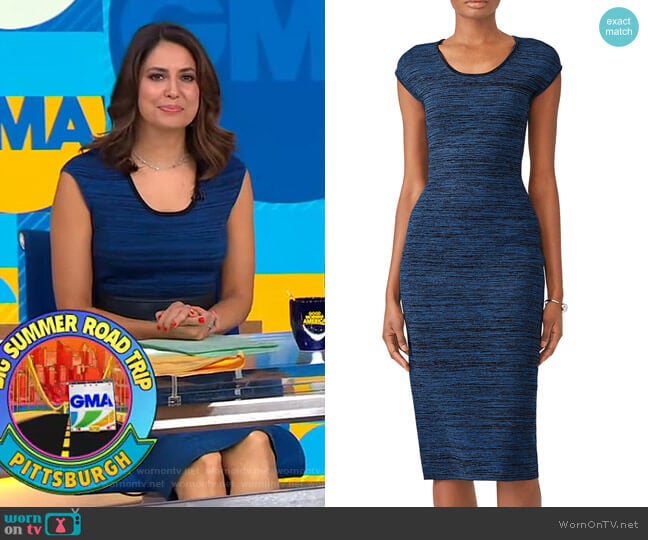 Diane von Furstenberg Scoop Neck Sweater Dress worn by Cecilia Vega on Good Morning America