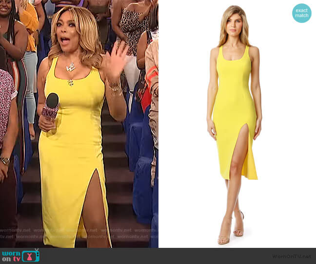 Jay Godfrey Witherspoon Midi Dress worn by Wendy Williams on The Wendy Williams Show