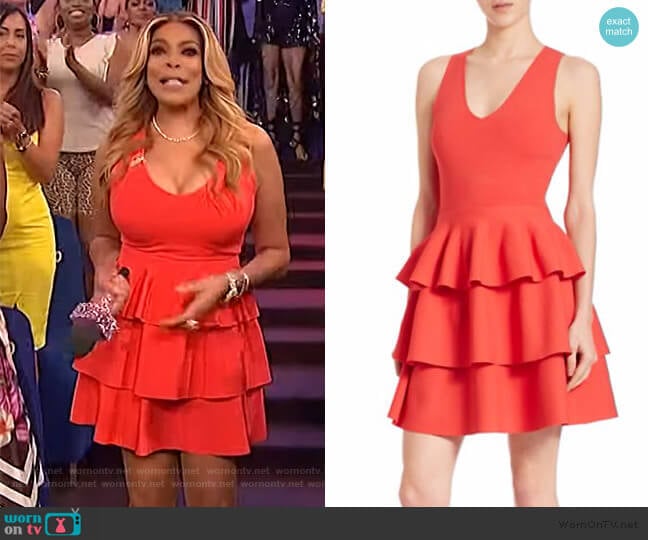 Parker Tiered Dress worn by Wendy Williams on The Wendy Williams Show