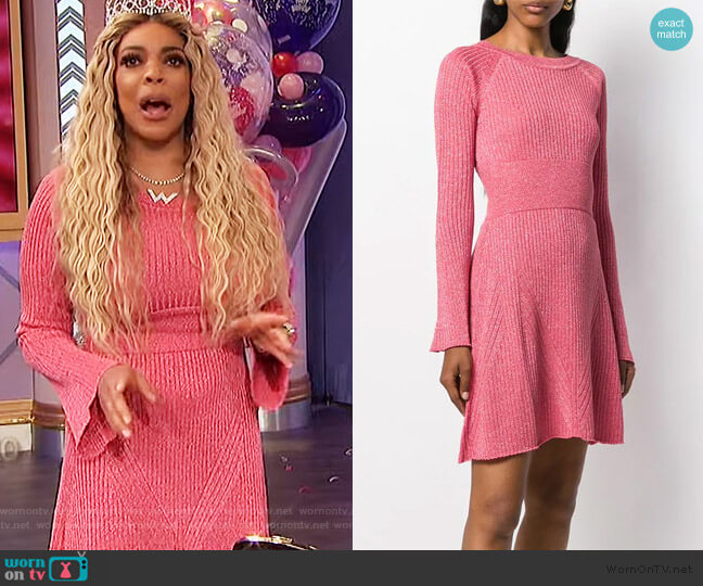 Pinko Ribbed Knit Dress worn by Wendy Williams on The Wendy Williams Show
