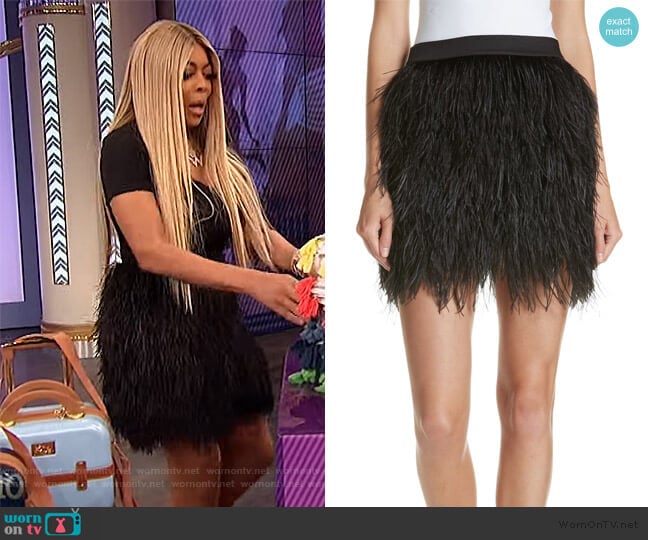 Robert Rodriguez Ostrich Feather Miniskirt worn by Wendy Williams on The Wendy Williams Show