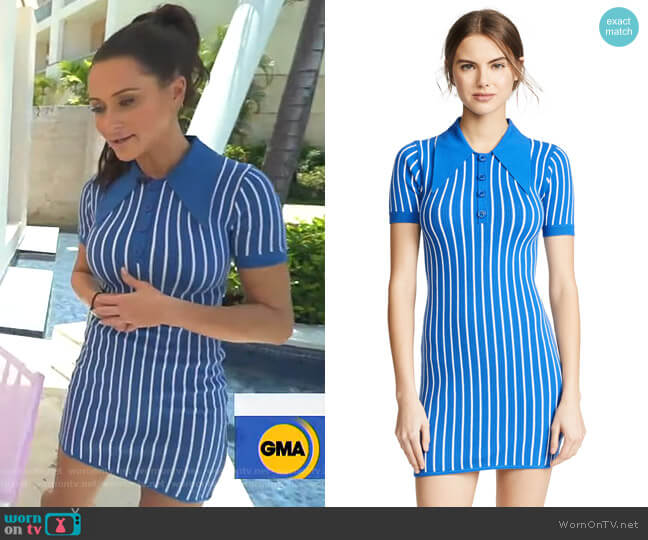 JoosTricot Knit Polo Mini Dress